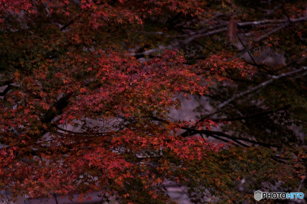暗がり
