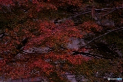 暗がり