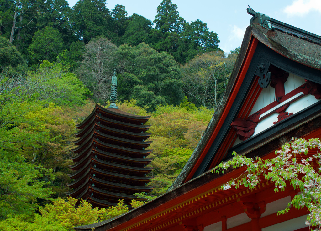 奈良県多武峰