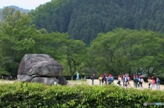 みんなで見学