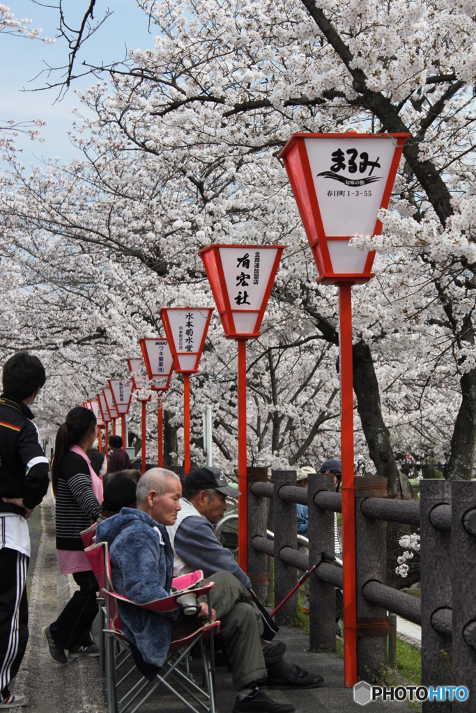 花見見物3