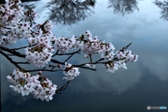 夕暮れ