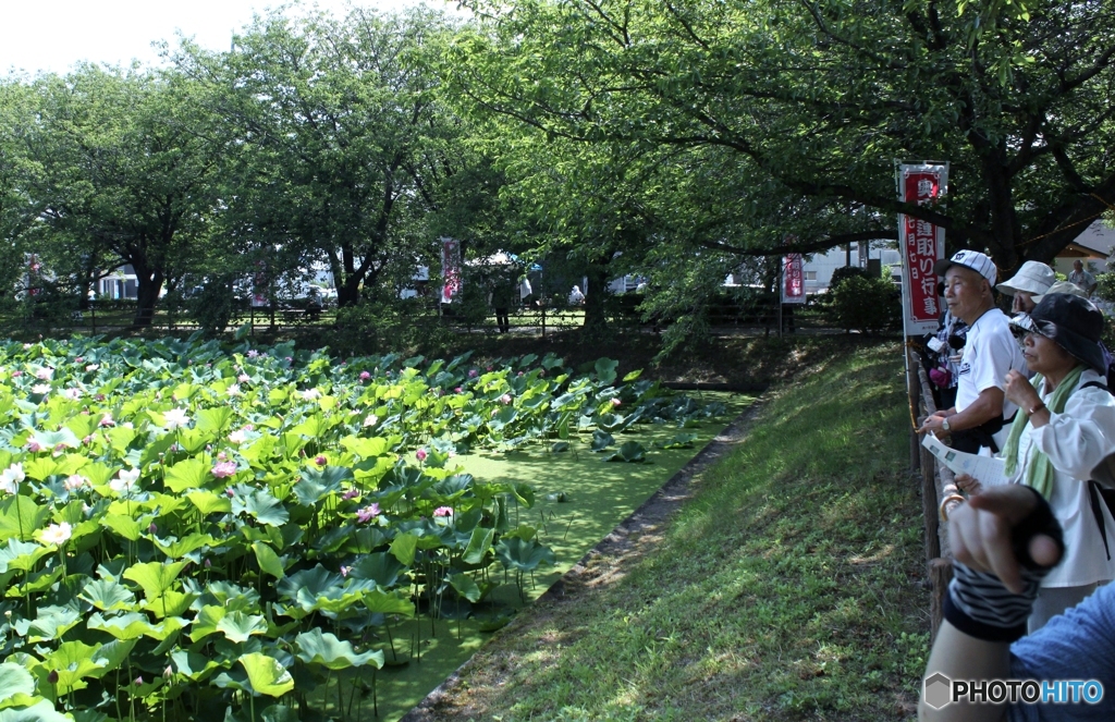 皆いっせに