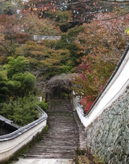 長谷寺の白壁