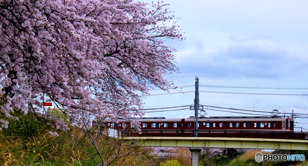 電車が走る