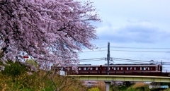 電車が走る