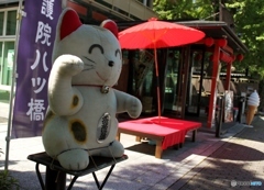 おいで、おいで