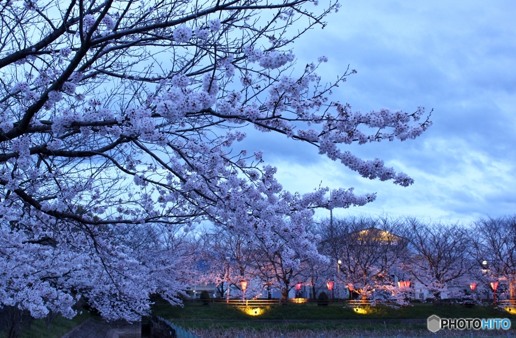 夕暮れ2