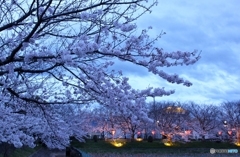 夕暮れ2
