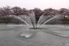 水しぶき4