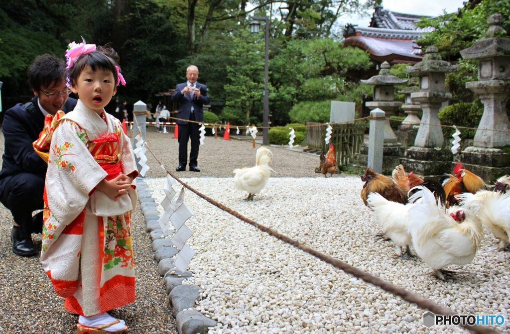 七五三可愛い