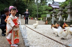 七五三可愛い