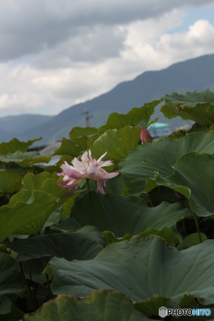 夏も終わり？