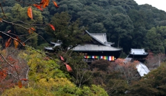 長谷寺　2