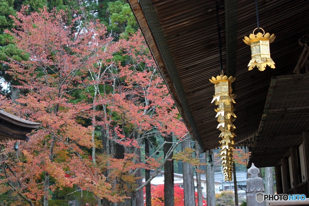 高野山　3