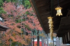 高野山　3