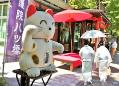 猫ちゃんと赤い傘