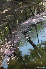 はなびら