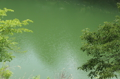 ダム湖