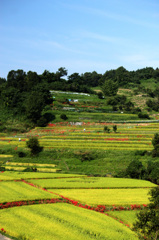 明日香村　4