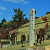 奈良公園　1