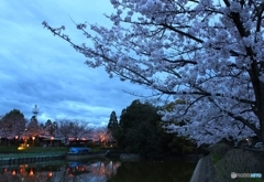 夕暮れ1