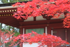 御堂の前