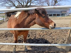 こんにちは