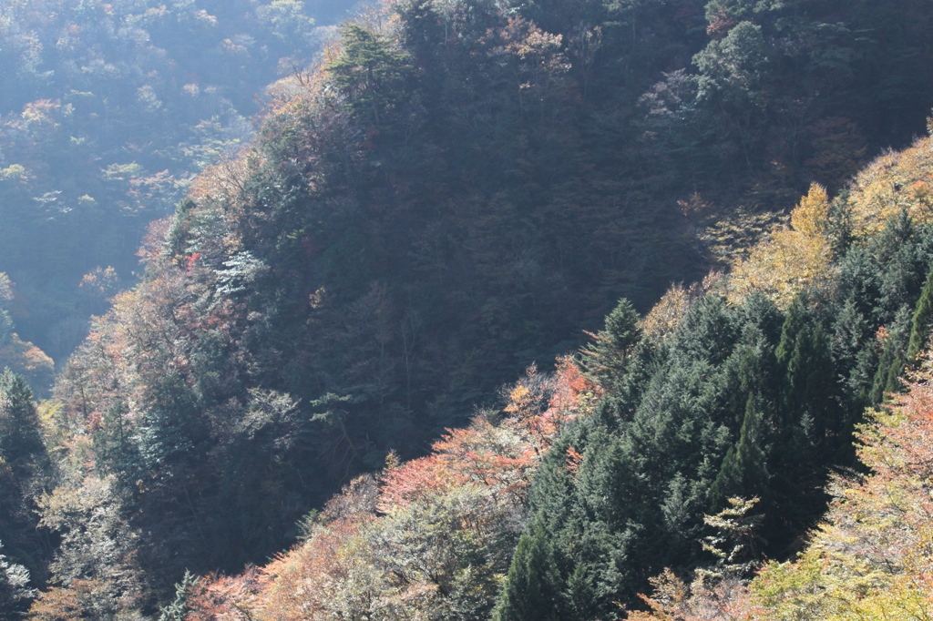 大台ケ原