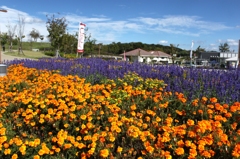 馬見公園　1