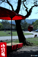わらび餅と鹿