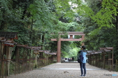 何を撮るのかな