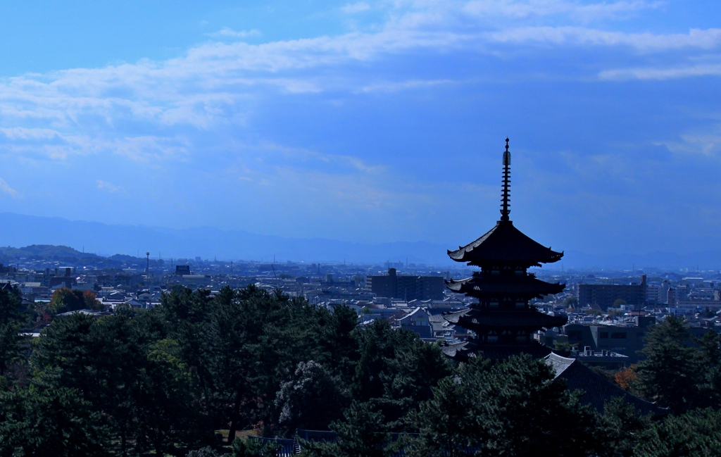 世界遺産興福寺