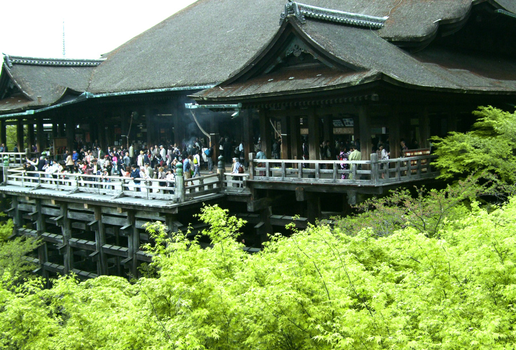 新緑の清水寺