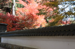 白壁と紅葉