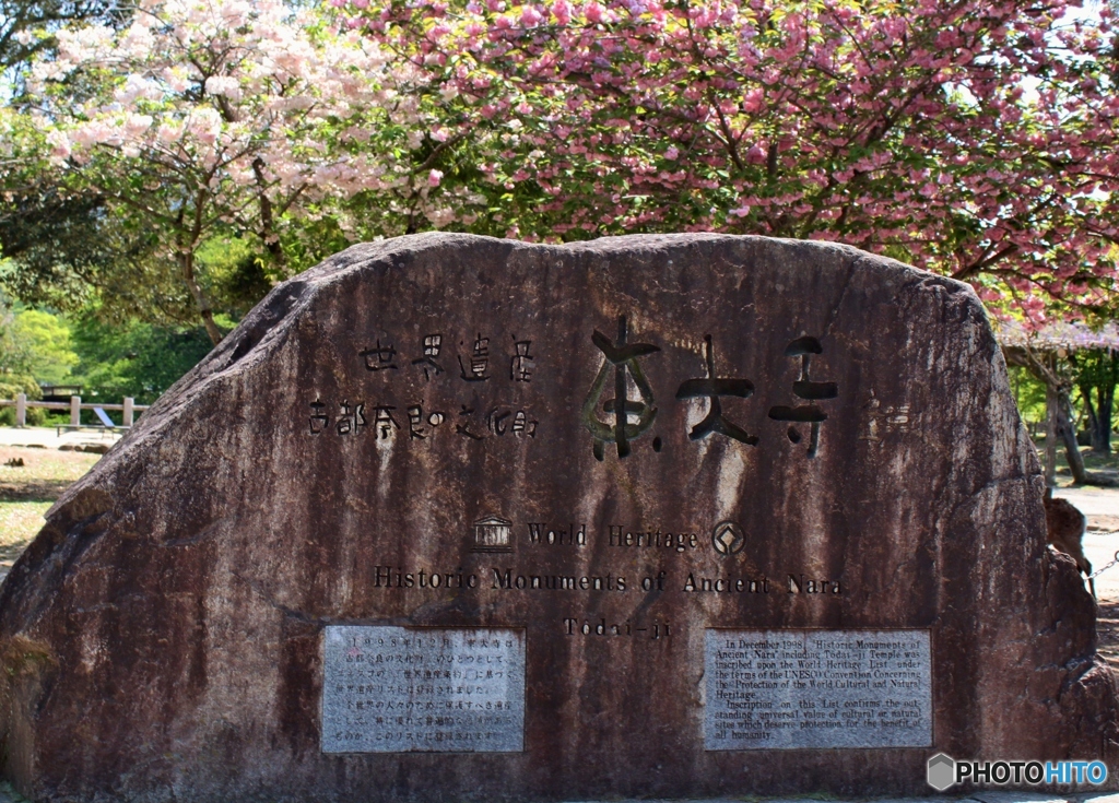 東大寺