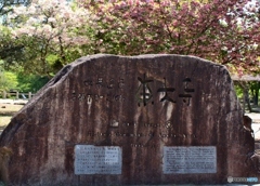 東大寺