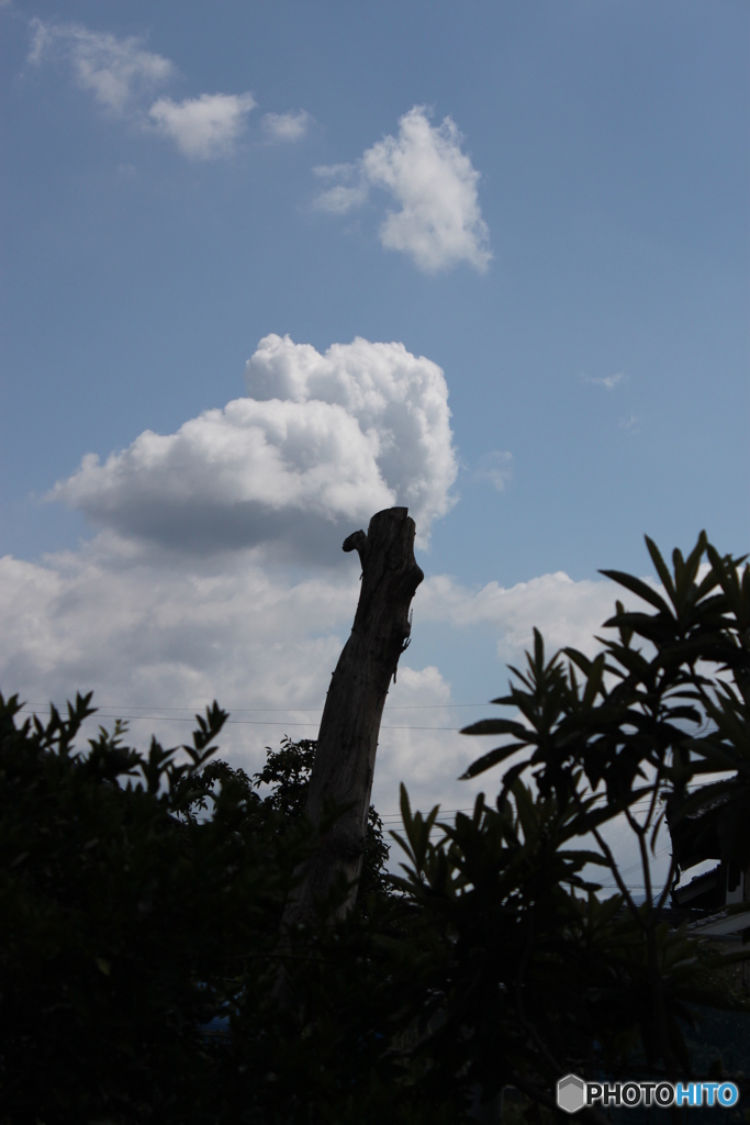 青空と雲
