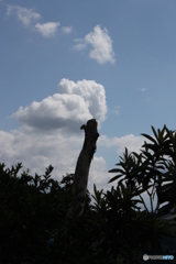 青空と雲