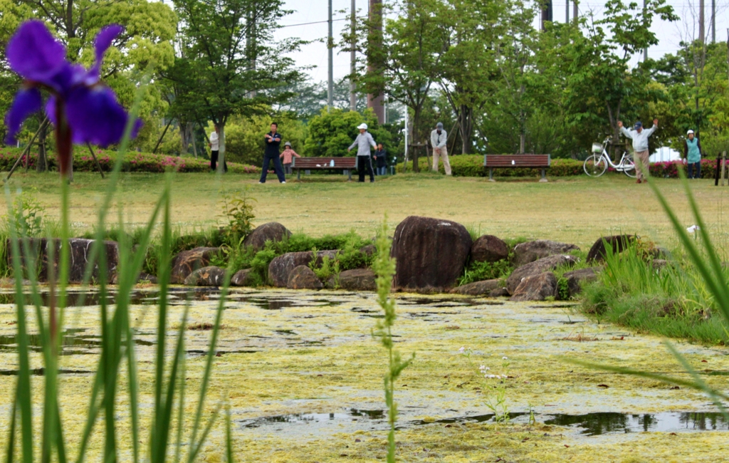 ラジオ体操