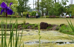 ラジオ体操