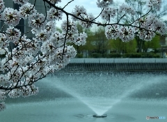 噴水