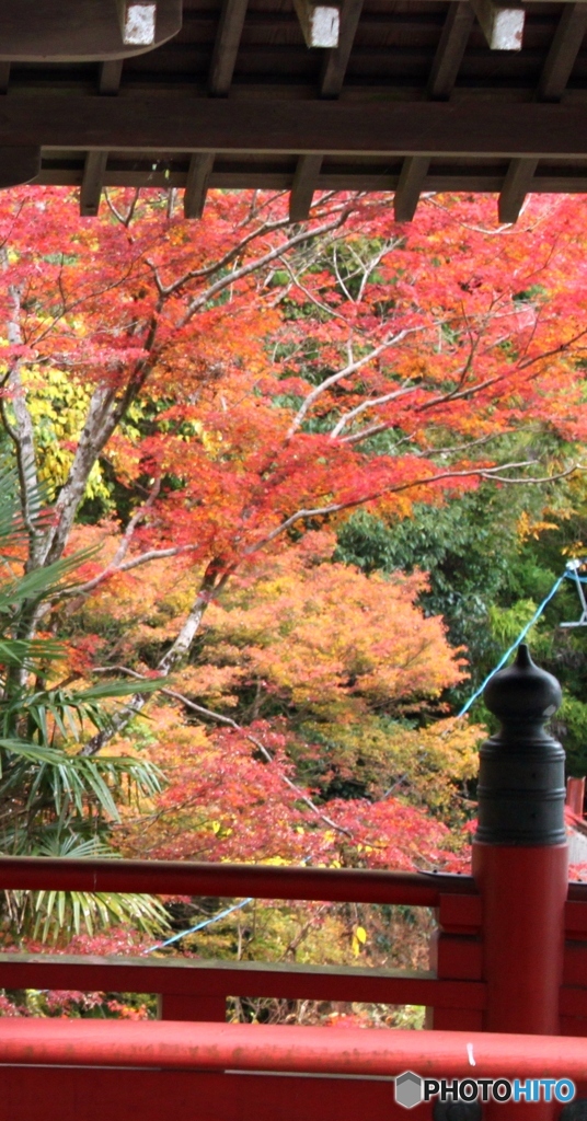 談山神社2