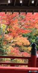談山神社2