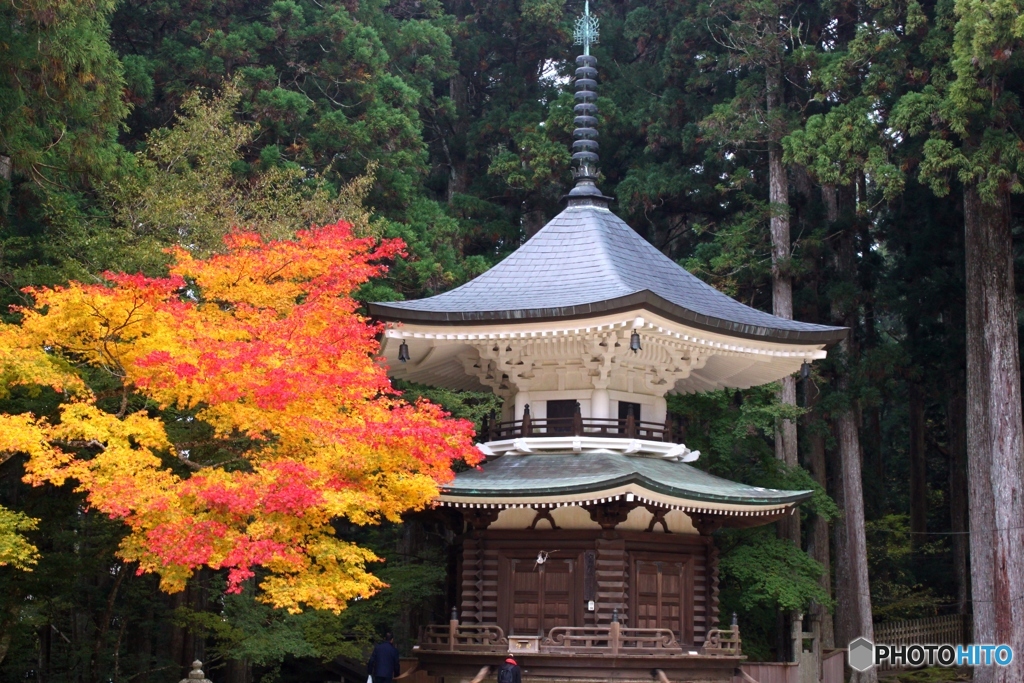 高野山　2