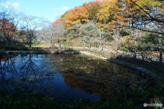 青い水色