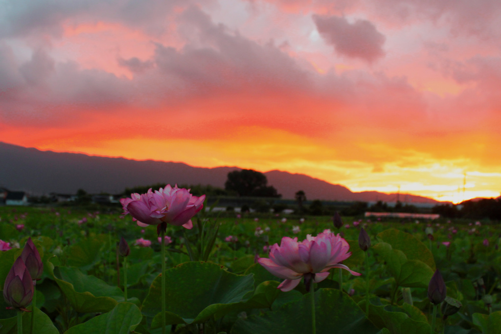 夕焼けAB