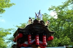 奥田の蓮取り