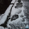 雪
