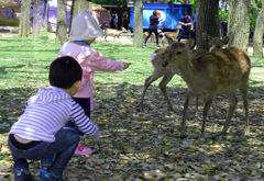 鹿と子供２